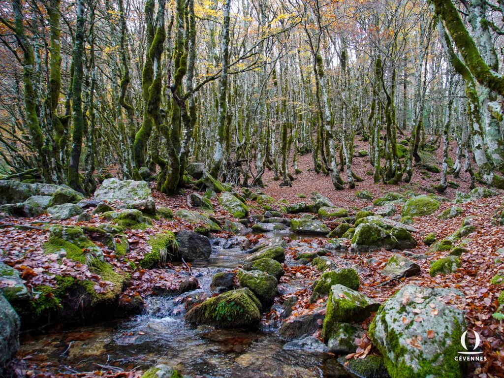 Cascades-d'Orgon