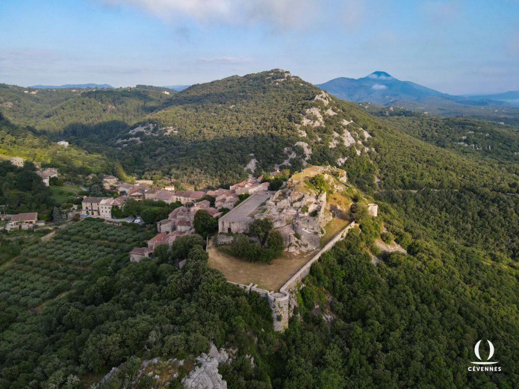 Château de Banne